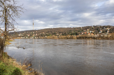 Elbe-Hochwasser in Dresden