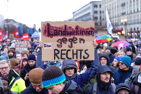 Kundgebung gegen die AfD am Brandenburger Tor in Berlin