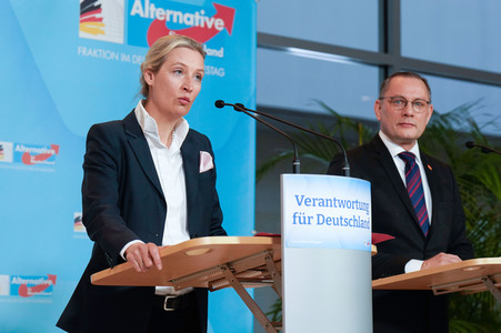 Fraktionssitzung der AfD-Bundestagsfraktion in Berlin