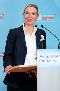 Fraktionssitzung der AfD-Bundestagsfraktion in Berlin