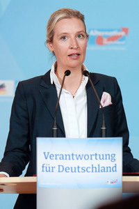 Fraktionssitzung der AfD-Bundestagsfraktion in Berlin