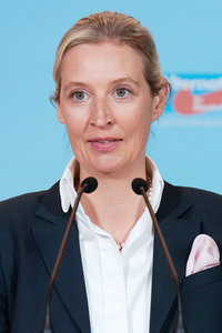 Fraktionssitzung der AfD-Bundestagsfraktion in Berlin