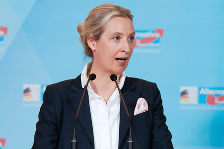 Fraktionssitzung der AfD-Bundestagsfraktion in Berlin