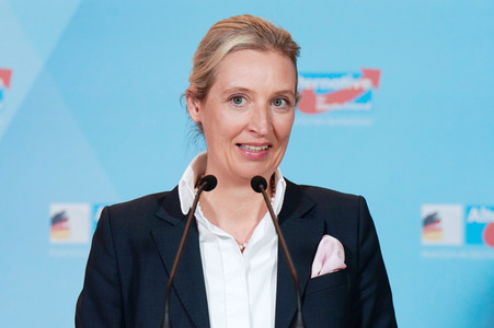 Fraktionssitzung der AfD-Bundestagsfraktion in Berlin