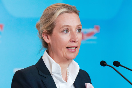 Fraktionssitzung der AfD-Bundestagsfraktion in Berlin