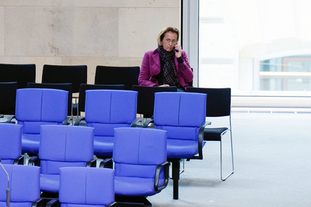 146. Sitzung des Deutschen Bundestages in Berlin