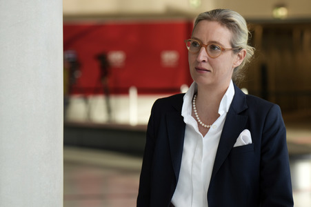 Fraktionssitzung der AfD-Bundestagsfraktion in Berlin