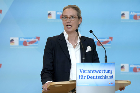 Fraktionssitzung der AfD-Bundestagsfraktion in Berlin