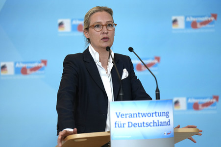 Fraktionssitzung der AfD-Bundestagsfraktion in Berlin