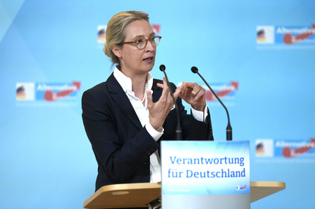 Fraktionssitzung der AfD-Bundestagsfraktion in Berlin