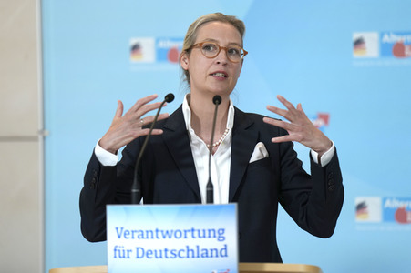 Fraktionssitzung der AfD-Bundestagsfraktion in Berlin