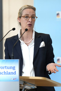 Fraktionssitzung der AfD-Bundestagsfraktion in Berlin