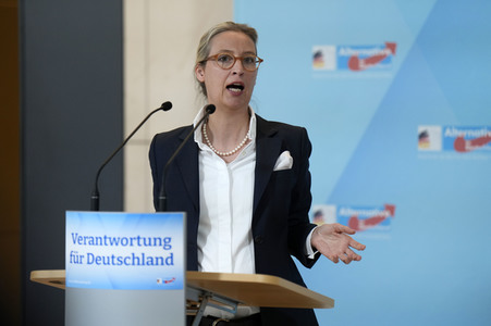 Fraktionssitzung der AfD-Bundestagsfraktion in Berlin