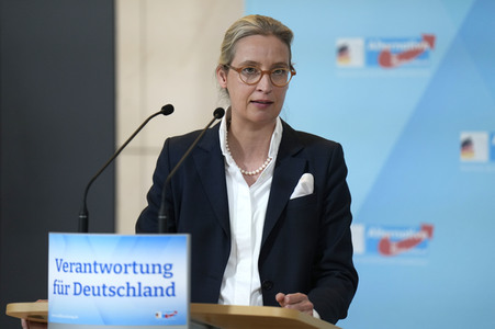 Fraktionssitzung der AfD-Bundestagsfraktion in Berlin