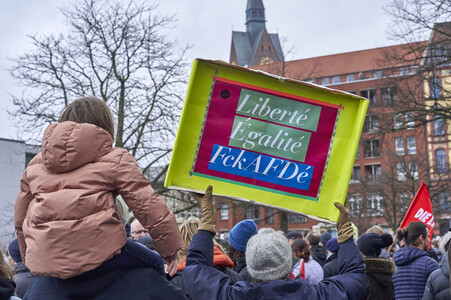 Bunt statt Braun-Demonstration in Hannover