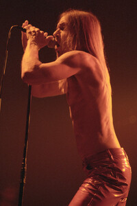 Konzert von Iggy Pop in Berlin