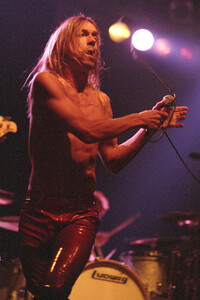 Konzert von Iggy Pop in Berlin
