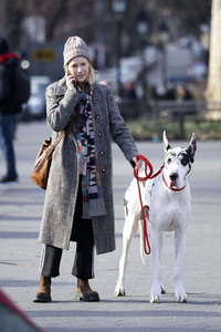 Dreharbeiten 'The Friend' in New York