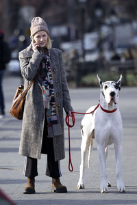 Dreharbeiten 'The Friend' in New York