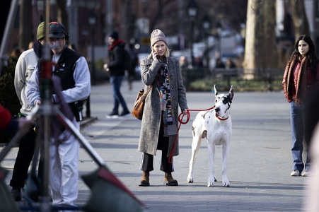 Dreharbeiten 'The Friend' in New York