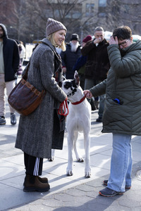 Dreharbeiten 'The Friend' in New York