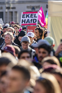 Demonstration gegen Rechts in Dresden