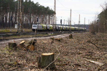 Tesla Gigafactory 4 in Grünheide