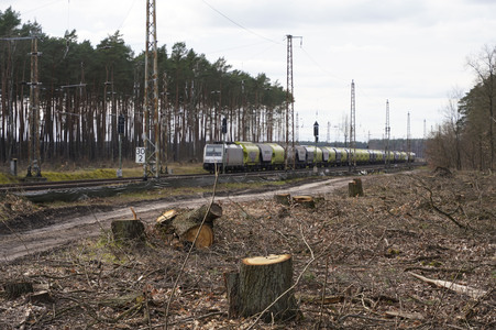 Tesla Gigafactory 4 in Grünheide