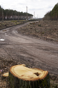 Tesla Gigafactory 4 in Grünheide