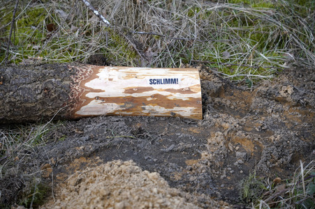 Protestcamp gegen die Erweiterungspläne des Tesla-Werks in Grünheide
