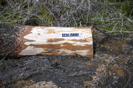 Protestcamp gegen die Erweiterungspläne des Tesla-Werks in Grünheide