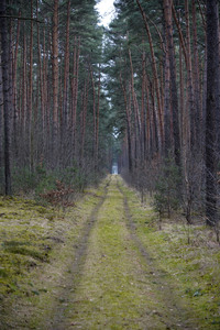 Protestcamp gegen die Erweiterungspläne des Tesla-Werks in Grünheide