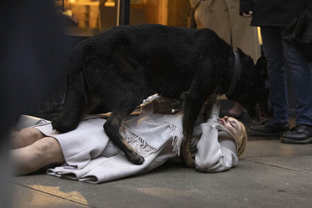 Dreharbeiten 'Babygirl' in New York