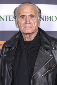 Eröffnung vom Los Angeles, Italia - Film, Fashion and Art Fest 2024