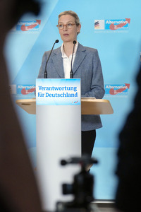 Fraktionssitzung der AfD-Bundestagsfraktion in Berlin