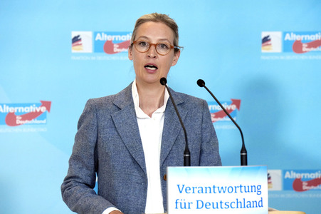 Fraktionssitzung der AfD-Bundestagsfraktion in Berlin