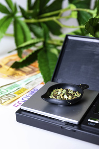 Symbolfoto Cannabis-Legalisierung