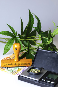 Symbolfoto Cannabis-Legalisierung