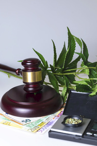 Symbolfoto Cannabis-Legalisierung