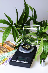 Symbolfoto Cannabis-Legalisierung