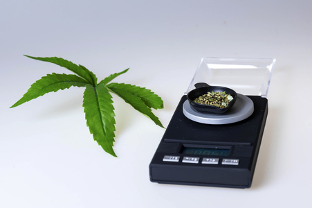 Symbolfoto Cannabis-Legalisierung