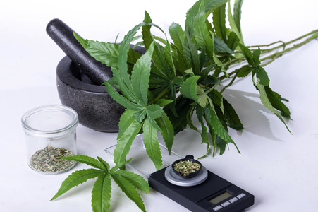 Symbolfoto Cannabis-Legalisierung