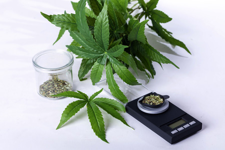 Symbolfoto Cannabis-Legalisierung