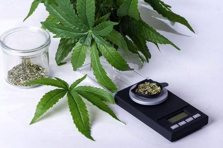 Symbolfoto Cannabis-Legalisierung