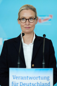 Fraktionssitzung der AfD-Bundestagsfraktion in Berlin