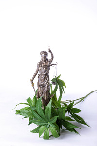 Symbolfoto Straferlass wegen Cannabis-Legalisierung