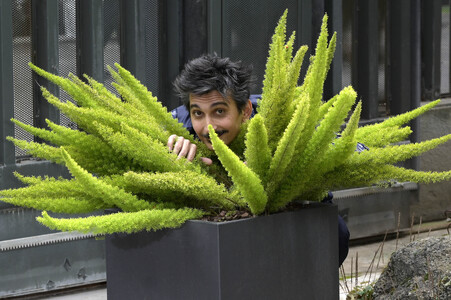 Photocall zu den Premi David di Donatello 2024 in Rom