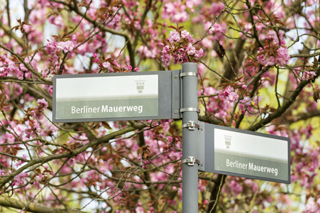 Kirschblüte in Berlin