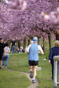 Kirschblüte in Berlin