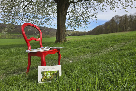 Fotobildband 'Bodypainting in Nature' in Hameln